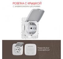 Розетка с заземлением шторками и защитной крышкой 16A 250V Arte Milano 205.41-1.silver