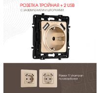 Розетка с заземлением шторками + 2 USB 16A 250V USB DC 5V 2.1A Arte Milano 217.47-1.shampan