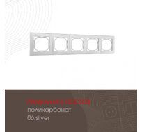 Рамка из поликарбоната на 5 постов Arte Milano 503.06-5.silver