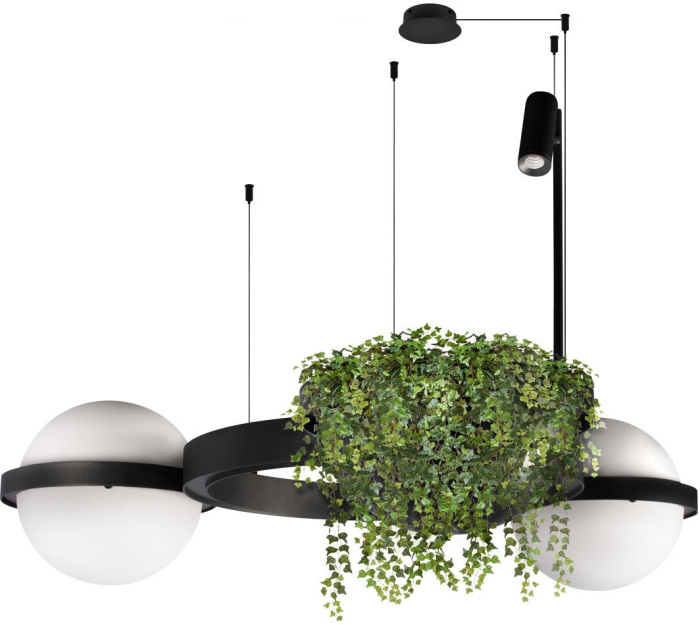 Подвесной светильник LOFT IT Jardin 10121/2_LF