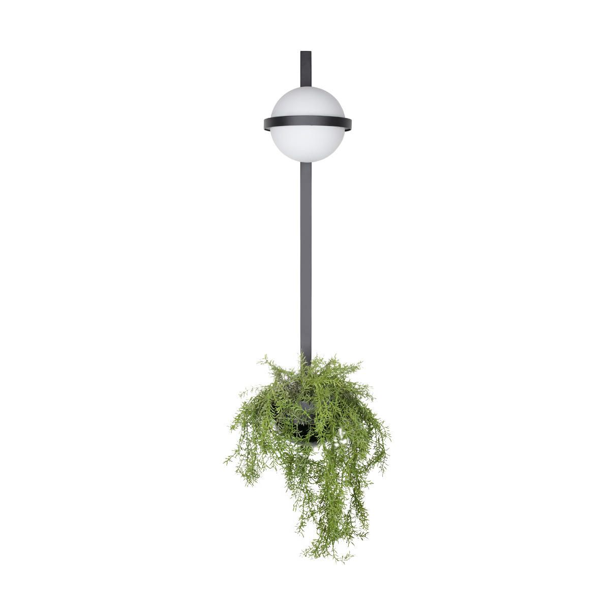 

Настенный светильник Loft IT Jardin 10121W/B, 10121W/B