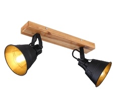 Спот Globo Gunther 15466S-2_GL