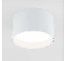 Накладной светильник Elektrostandard Banti a058846_ES