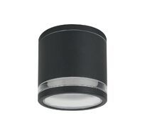 Уличный потолочный светильник Arte Lamp NUNKI A1910PF-1BK