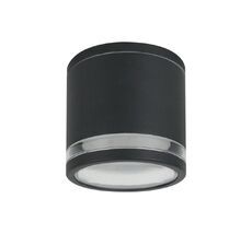 Уличный потолочный светильник Arte Lamp NUNKI A1910PF-1BK