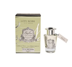 Аромадиффузор с палочками Persian Lime 90мл Garda Decor 96CN-1522