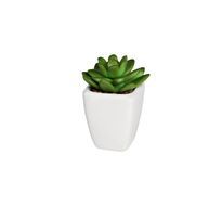 Суккулент в горшочке Garda Decor 8J-1735124