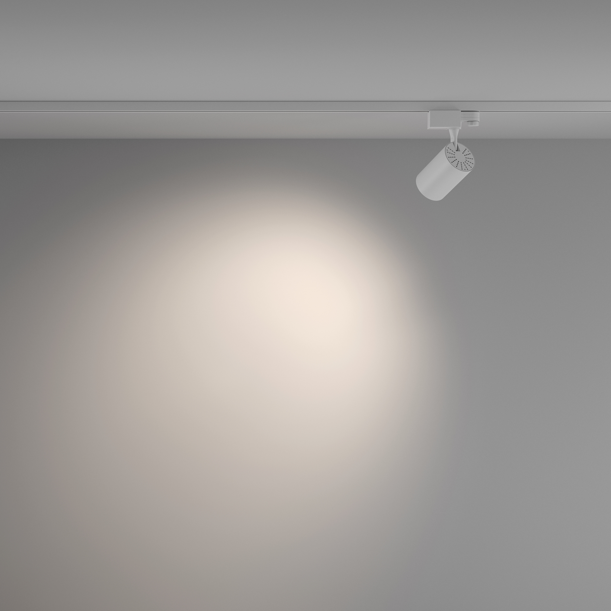 Трековый светильник Maytoni Technical Vuoro TR029-3-10W4K-W-W_MY