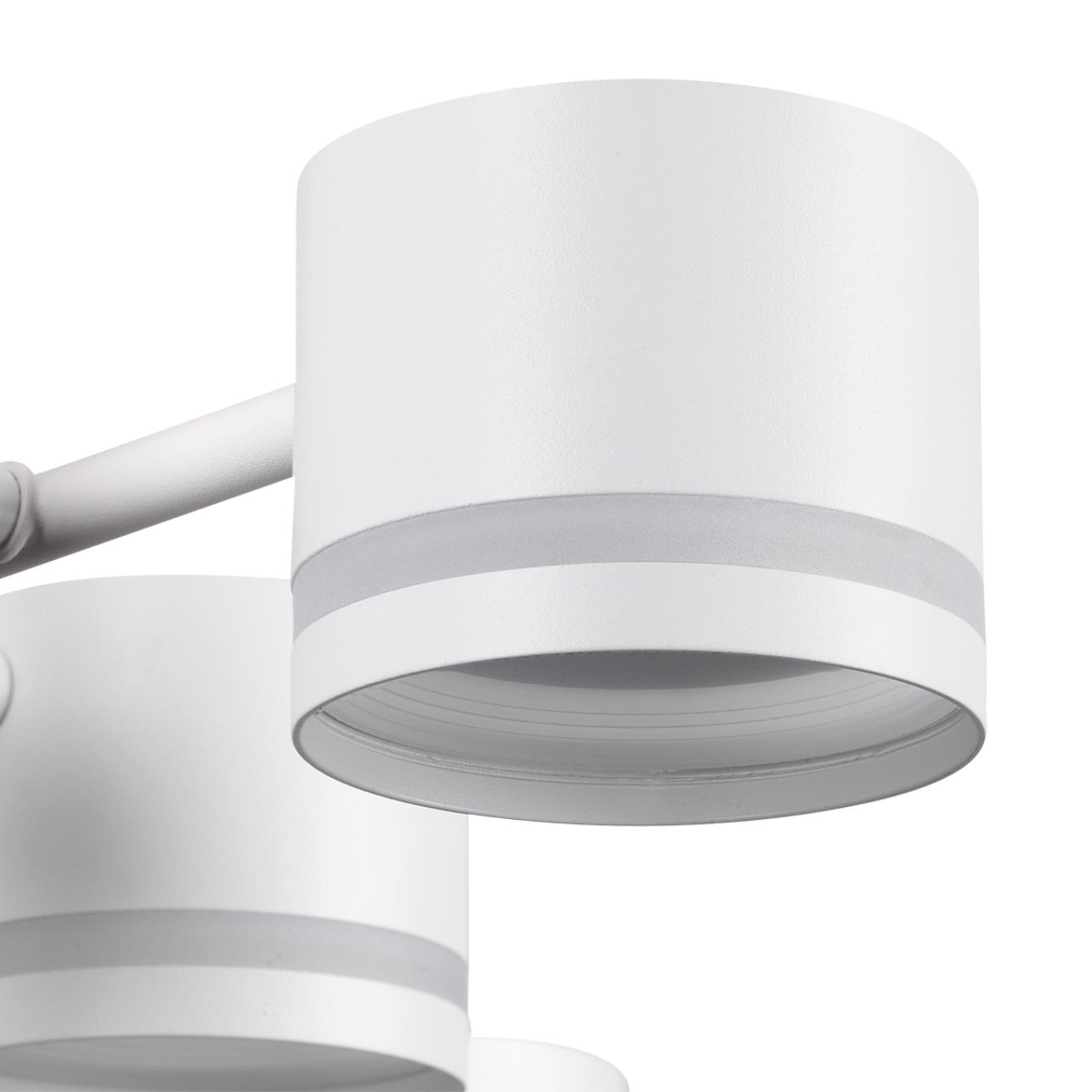 Потолочная люстра LUMION GARETA 8235/12C