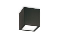 Уличный потолочный светильник TECHO TECHO PL1 BIG NERO_IL