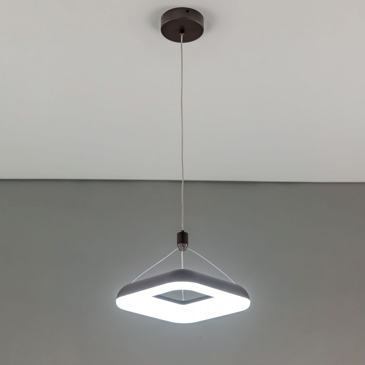 

Подвесные светильники CitiLux, CL225B215
