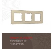 Рамка из поликарбоната на 3 поста Arte Milano 502.16-3.shampan