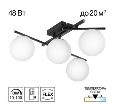 Потолочная люстра Citilux DORSY CL223142