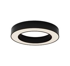 Потолочный светильник Maytoni Lua C093CL-36W3K-B_MY