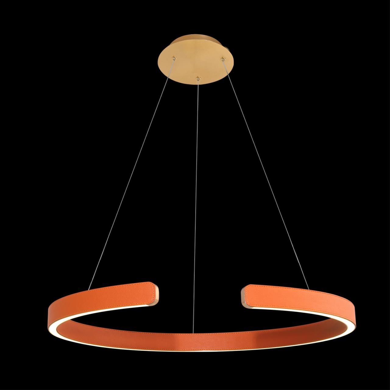Подвесной светильник Loft IT Ring 10025/600 Orange_LF