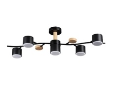 Потолочная люстра LUMION CRYPTO 8194/5C