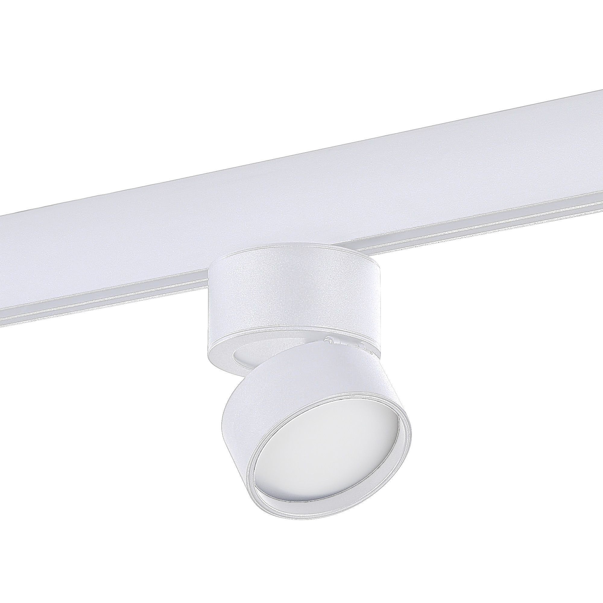 Магнитный трековый светильник ST Luce SKYLINE 48 High-tech ST809.546.09