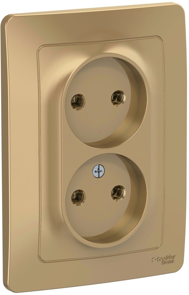 Розетка встраиваемая двойная без заземления (титан) Systeme Electric BLNRS000024