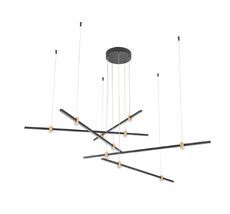 Подвесная люстра ArteLamp ERRAI A2195SP-5BK