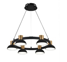 Подвесной светильник с пультом управления LED (11059/6P Black) Indigo V000182L