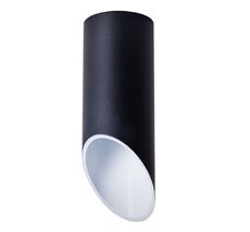 Накладной светильник ArteLamp PILON A1615PL-1BK