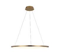 Подвесной светильник Loft IT Ring 10014L_LF