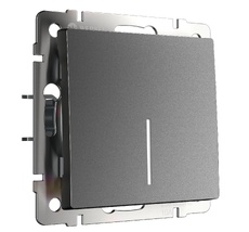 Выключатель одноклавишный проходной с подсветкой Werkel a063101_WR