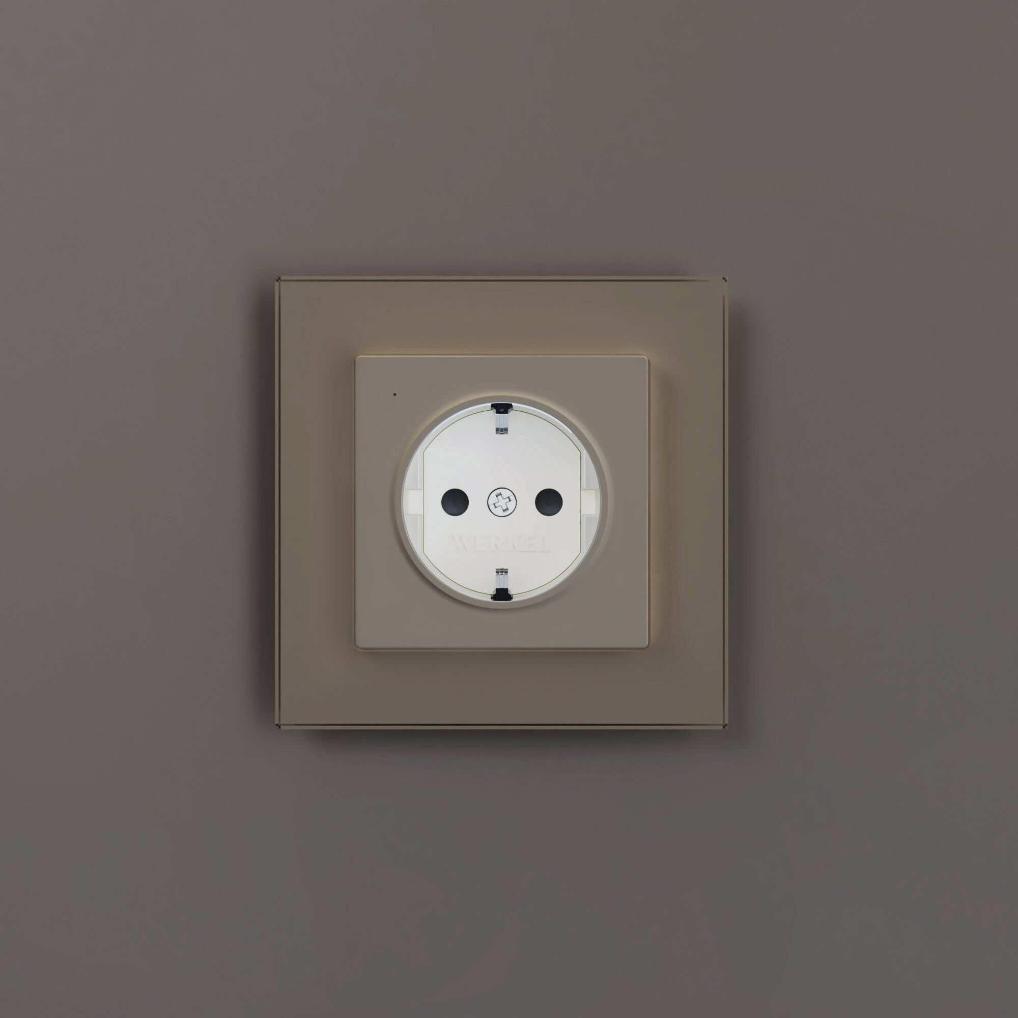 Розетка с подсветкой Werkel a069610_WR