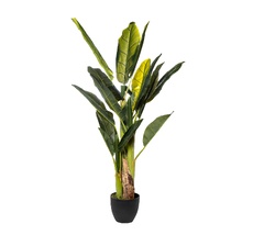 Банановый куст в горшке Garda Decor 29BJ-803-18