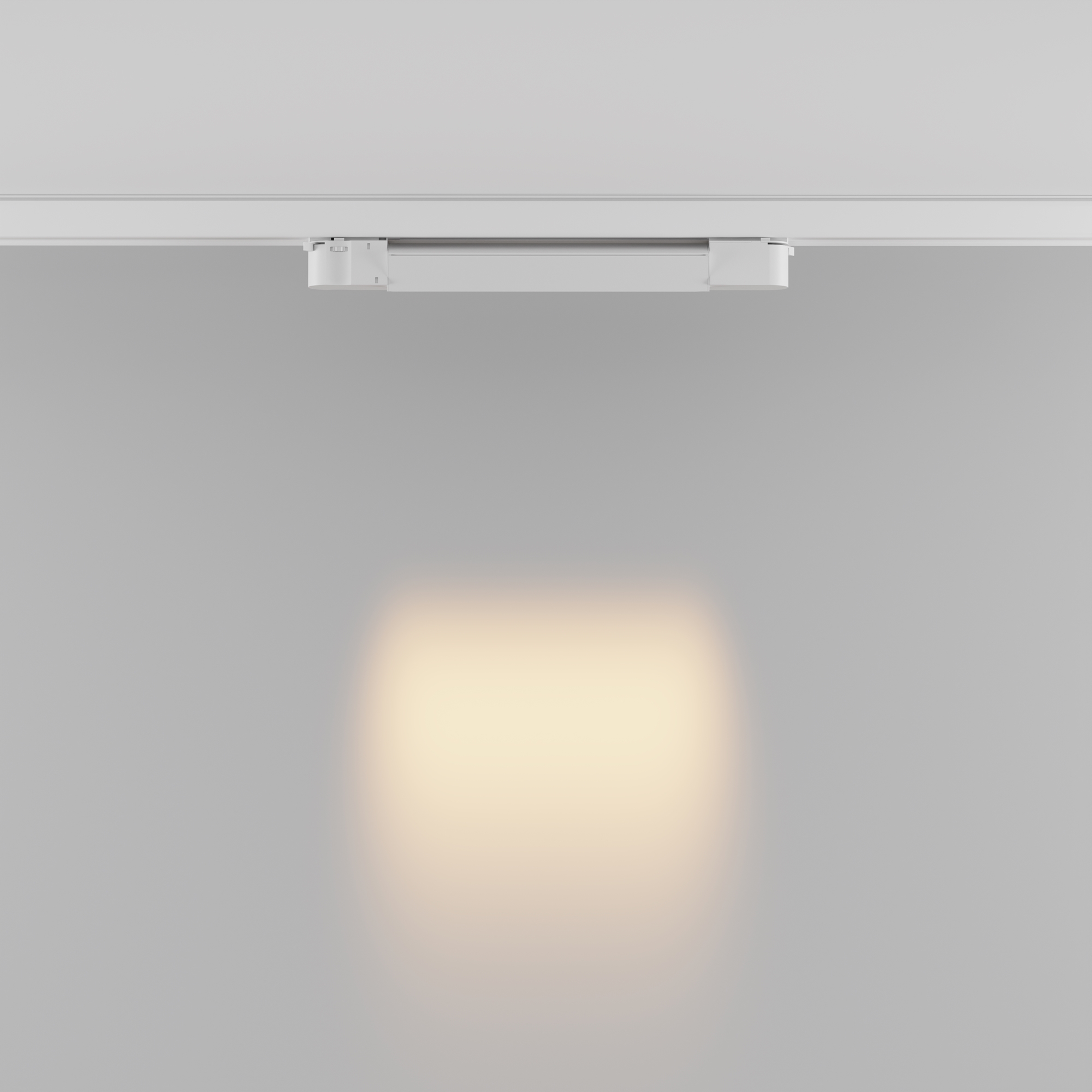 Трековый светильник трехфазный TRINITY Maytoni Points TR195-3-10W2.7K-M-W_MY