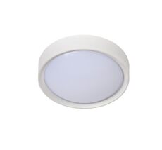 Настенно-потолочный светильник Lucide LEX 08109/01/31