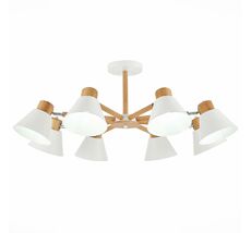 Потолочная люстра Evoluce BUVE SLE103702-08