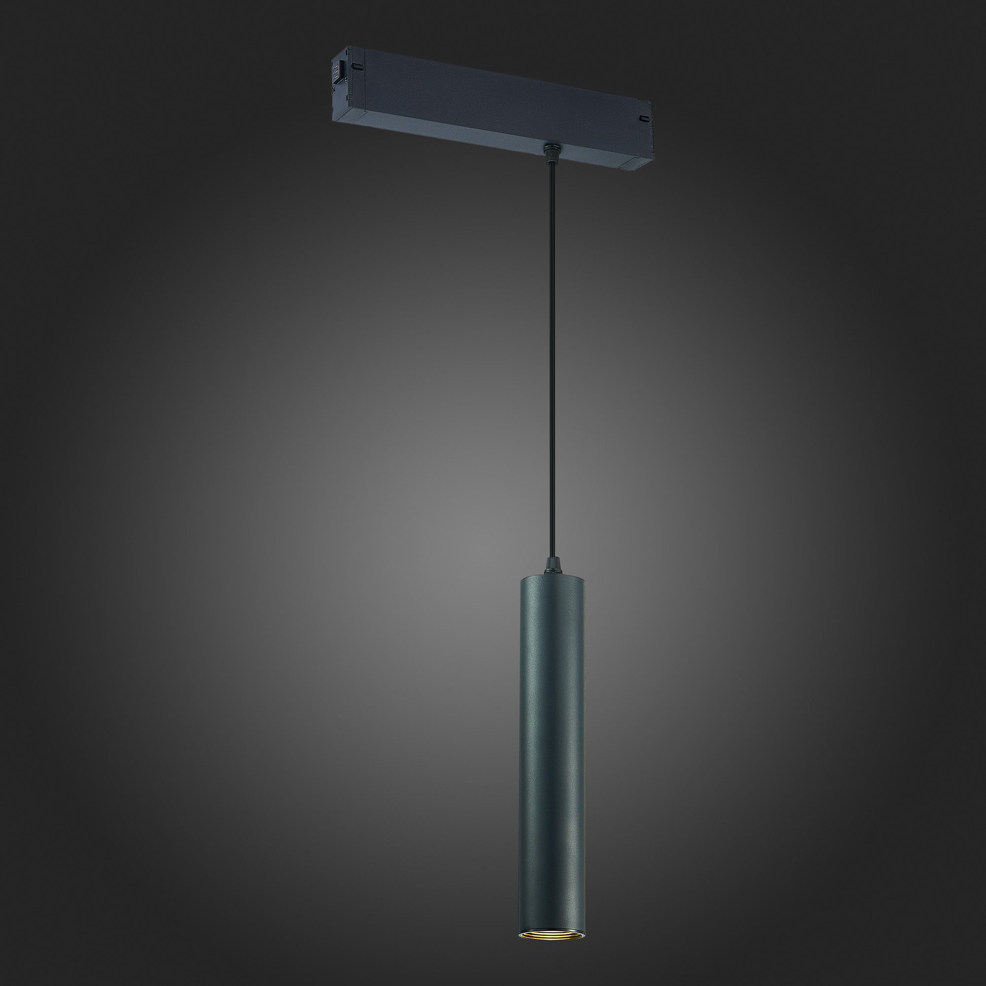 Трековый светильник ST LUCE SKYLINE 220 ST507.403.01