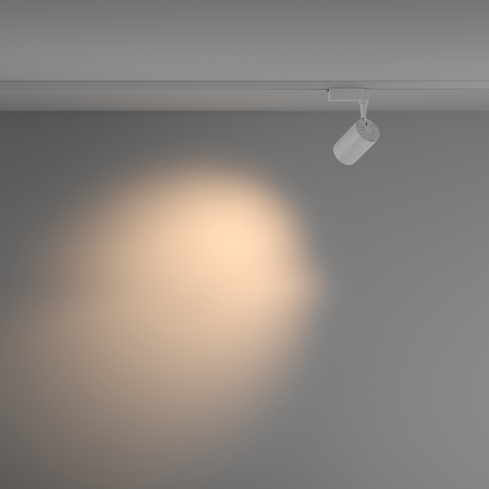 Трековый светильник Maytoni Technical Vuoro TR003-1-10W3K-M-W_MY