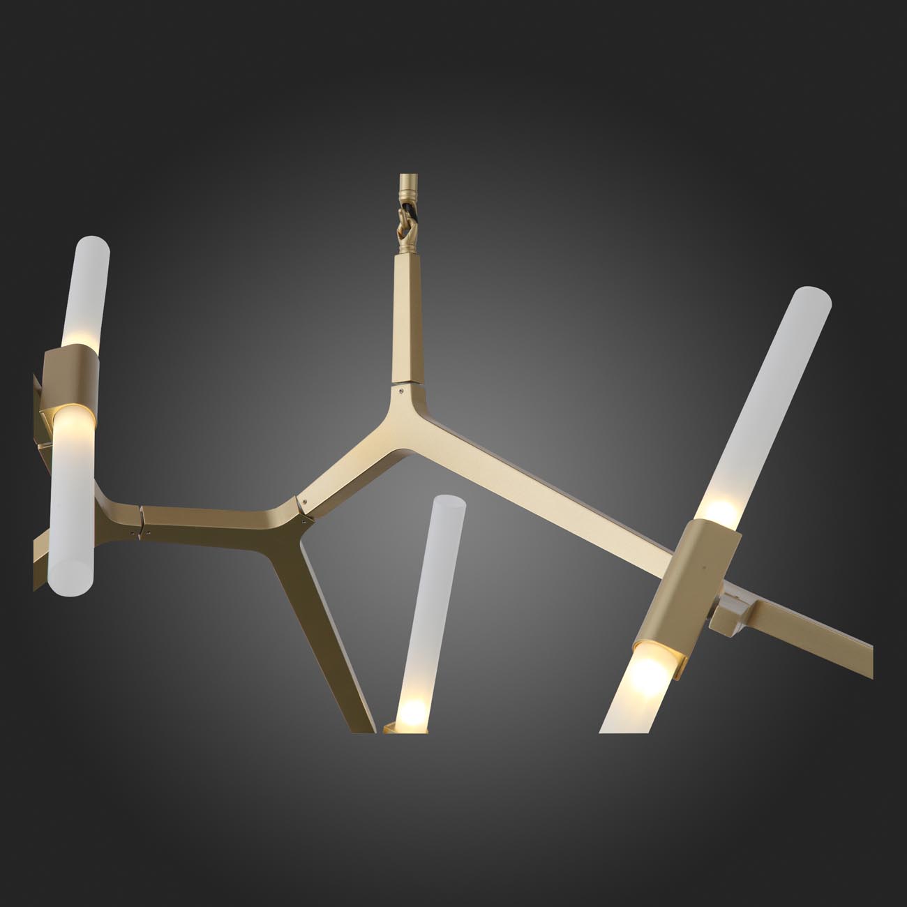 Потолочная люстра ST Luce LACONICITA SL947.202.10