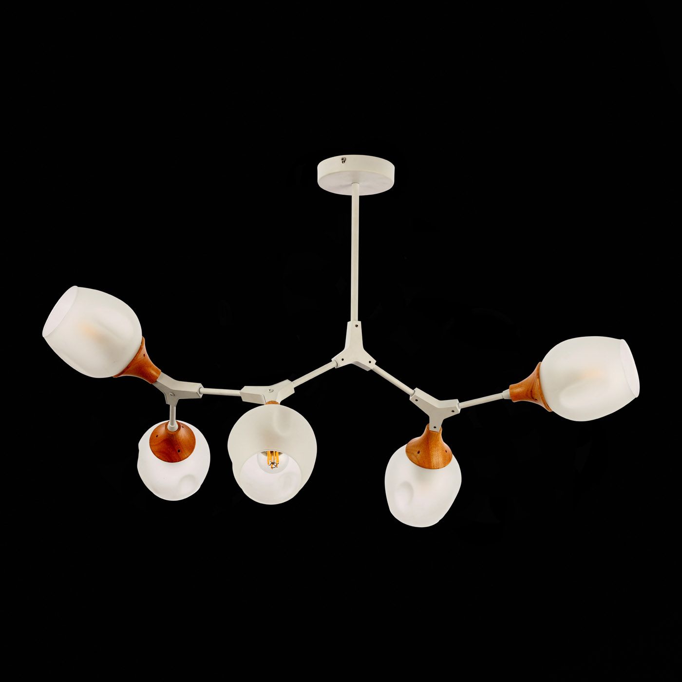 Потолочная люстра Evoluce CIOTOLLA SLE113502-05