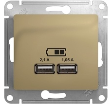 Розетка встраиваемая USBх2 (титан) Systeme Electric GSL000433