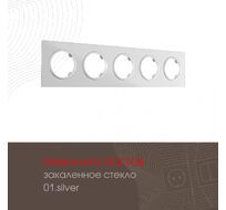 Рамка из закаленного стекла на 5 постов Arte Milano 502.01-5.silver