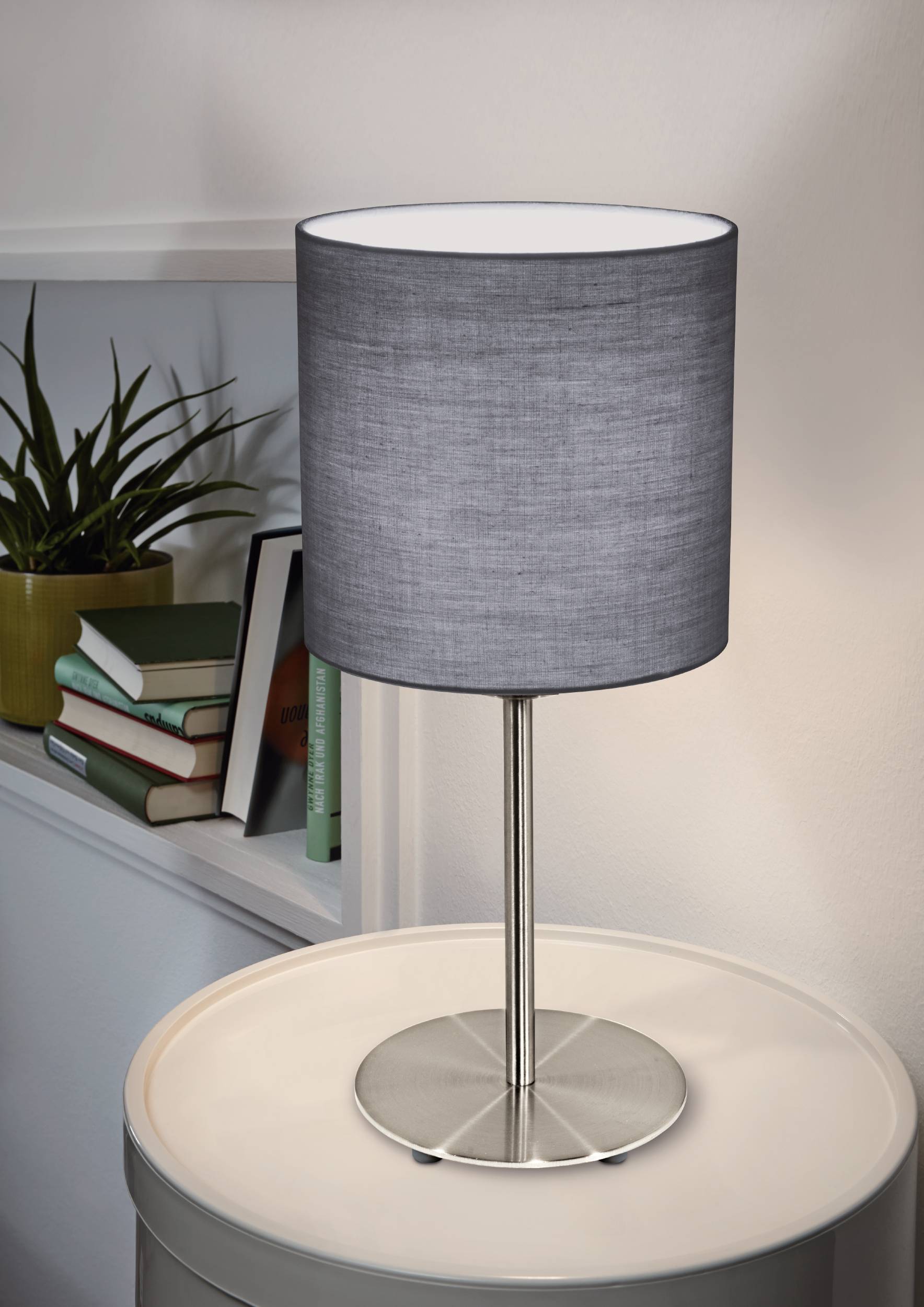 Настольная лампа Eglo Pasteri 31596