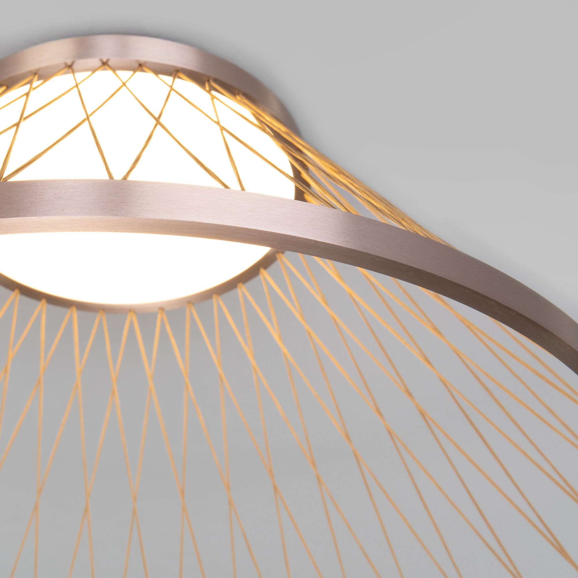 Потолочный светильник Eurosvet Cesta a069291_EU