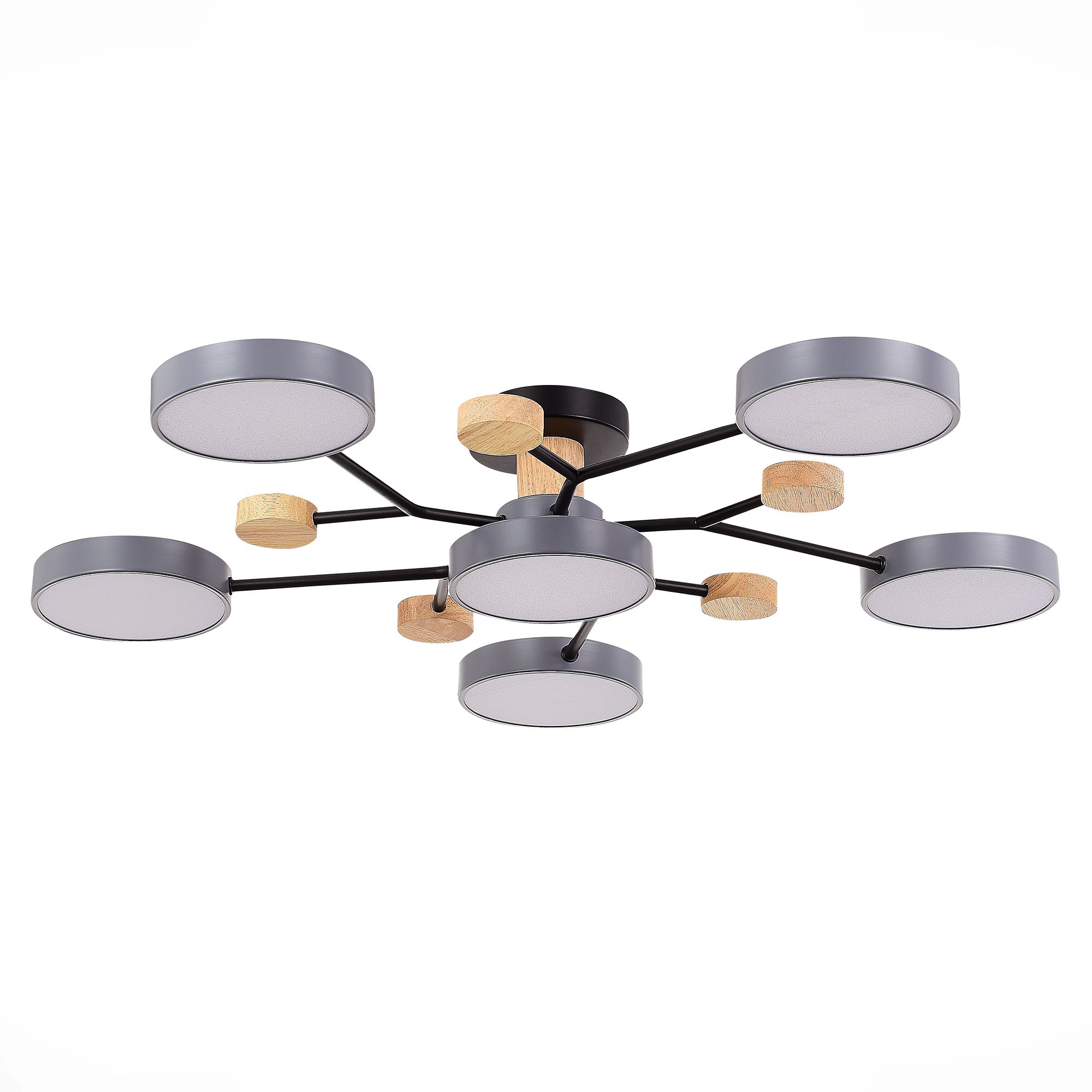 Потолочная люстра Evoluce FAEMA SLE6006-702-06