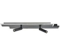 Настенно-потолочный светодиодный светильник Escada 20047SMA/02LED BK_ESC