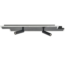 Настенно-потолочный светодиодный светильник Escada 20047SMA/02LED BK_ESC