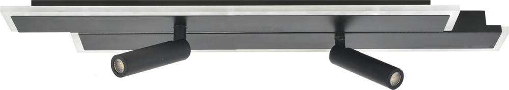 Настенно-потолочный светодиодный светильник Escada 20047SMA/02LED BK_ESC