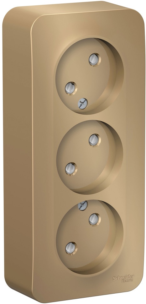 Розетка накладная тройная без заземления со шторками (титан) Systeme Electric BLNRA001314