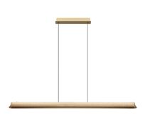 Подвесной линейный светильник ODEON LIGHT ESTAR 7019/38LA