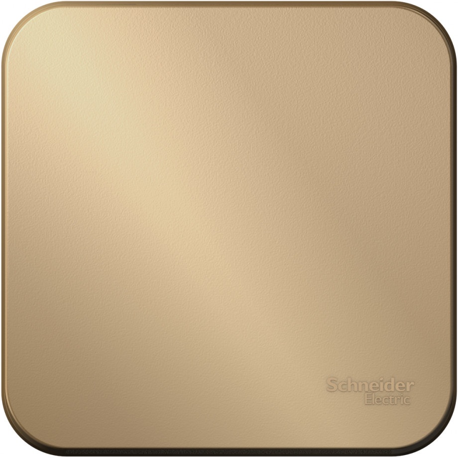 Выключатель накладной одноклавишный (титан) Systeme Electric BLNVA106014