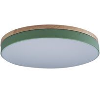 Потолочный светильник круглый светодиодный 10001/36 Loft It 10001/36 Green_LF