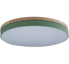 Потолочный светильник круглый светодиодный 10001/36 Loft It 10001/36 Green_LF