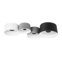 Потолочный светильник LOFT IT Duo 10360/4_LF